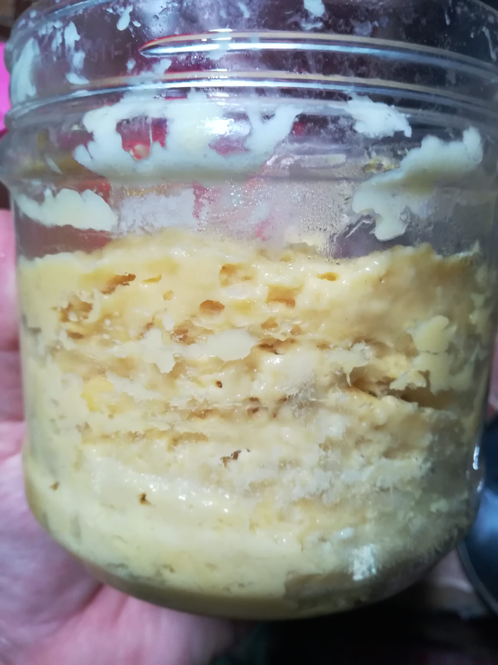 Gambar hidangan gulai masak tempoyak yang kelihatan sedap dan menggugah selera.