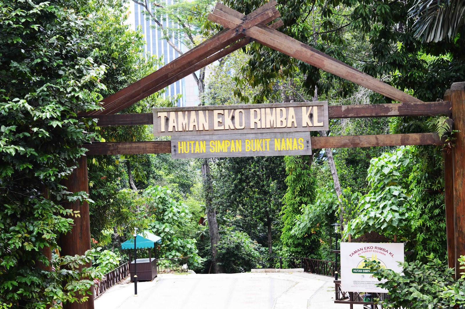 Hutan lipur bukit nanas