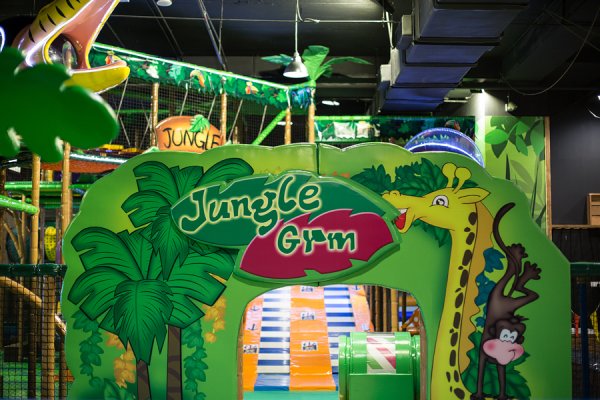 Jungle gym