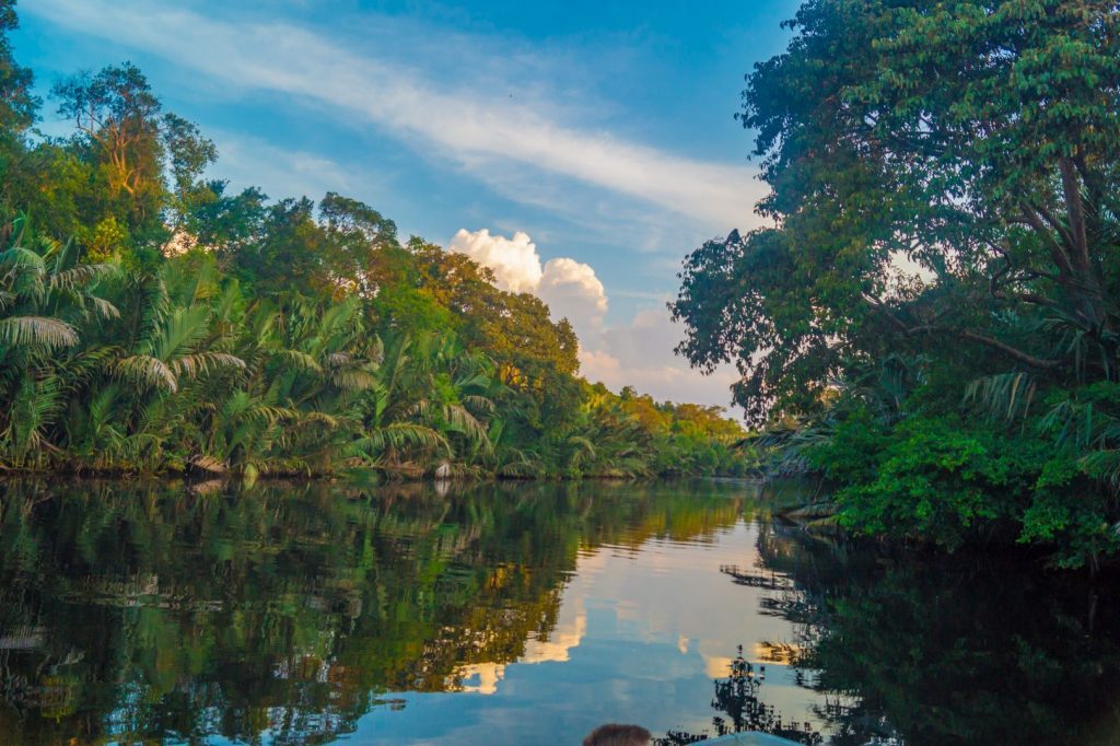 Sungai Kinabatangan dikelilingi hutan di Sabah