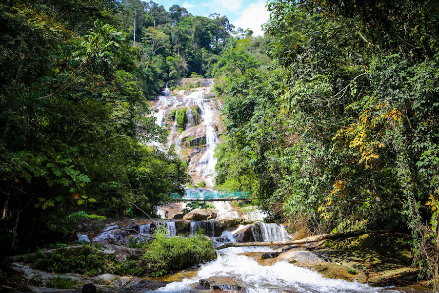 Lata Kinjang