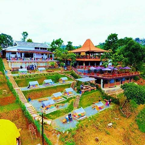 Pemandangan sawah di Lereng Anteng