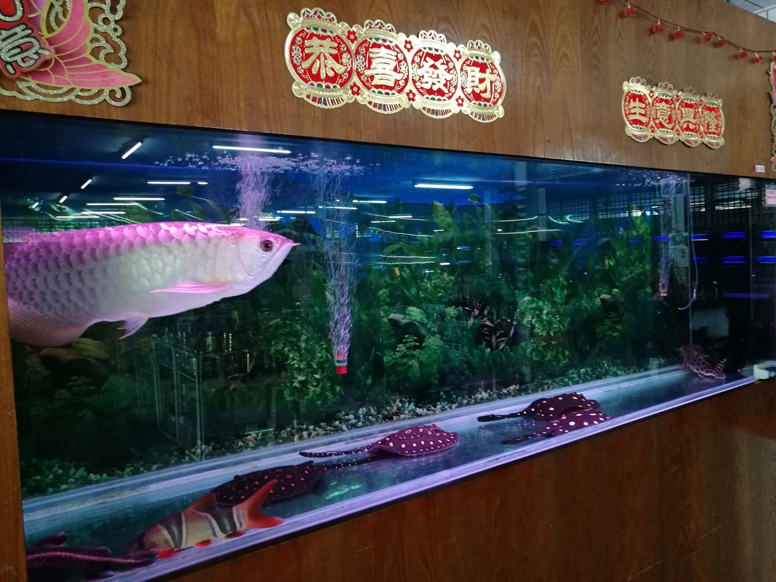 Nanyang Fish Farm