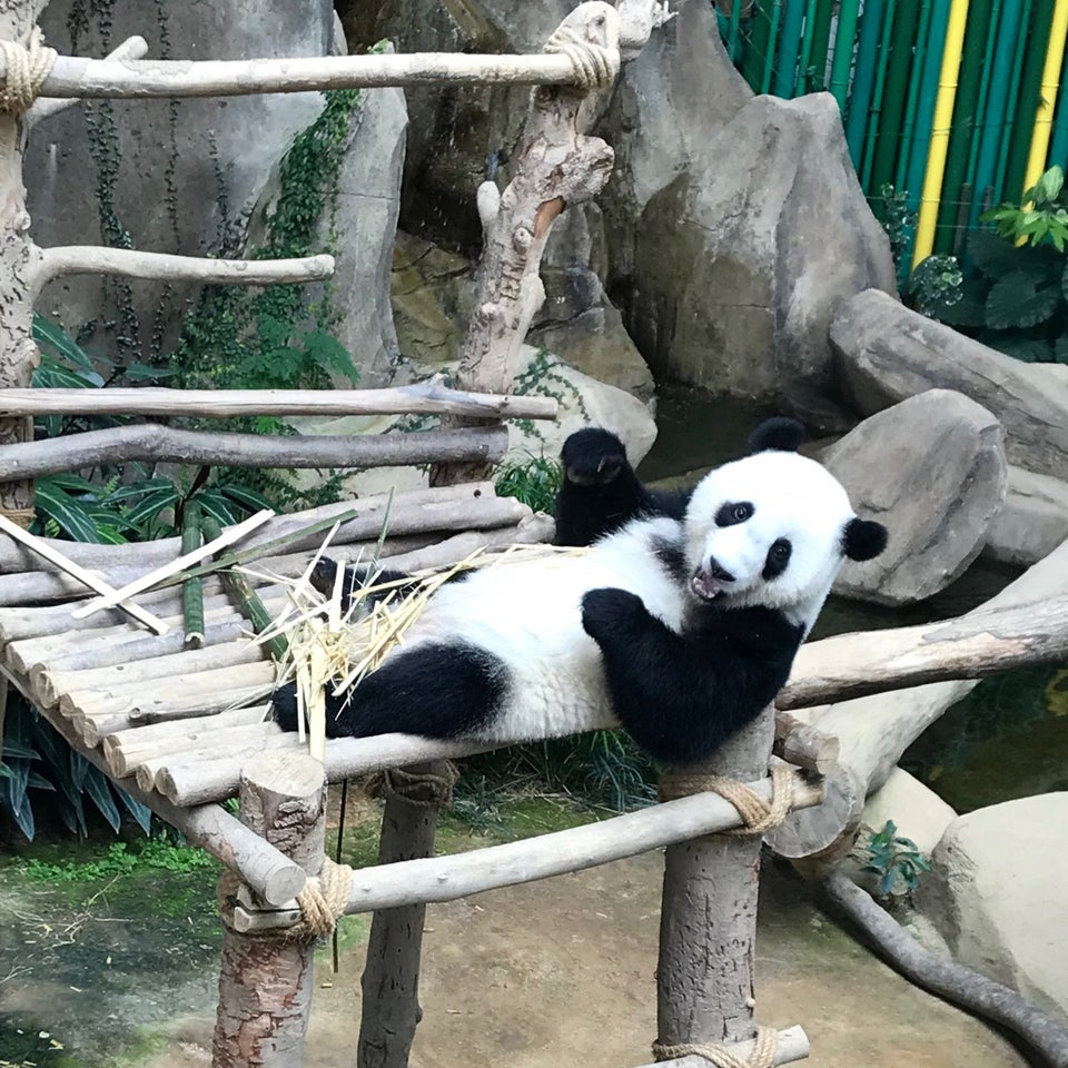 zoo