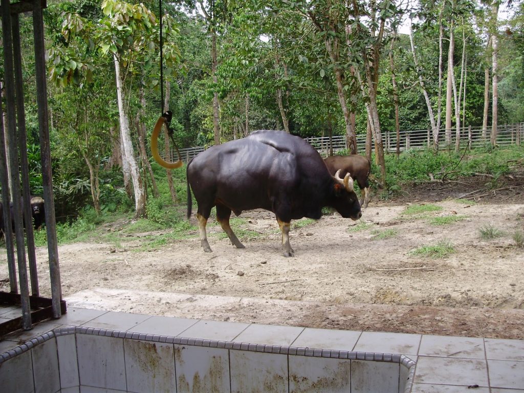 tempat menarik di temerloh
