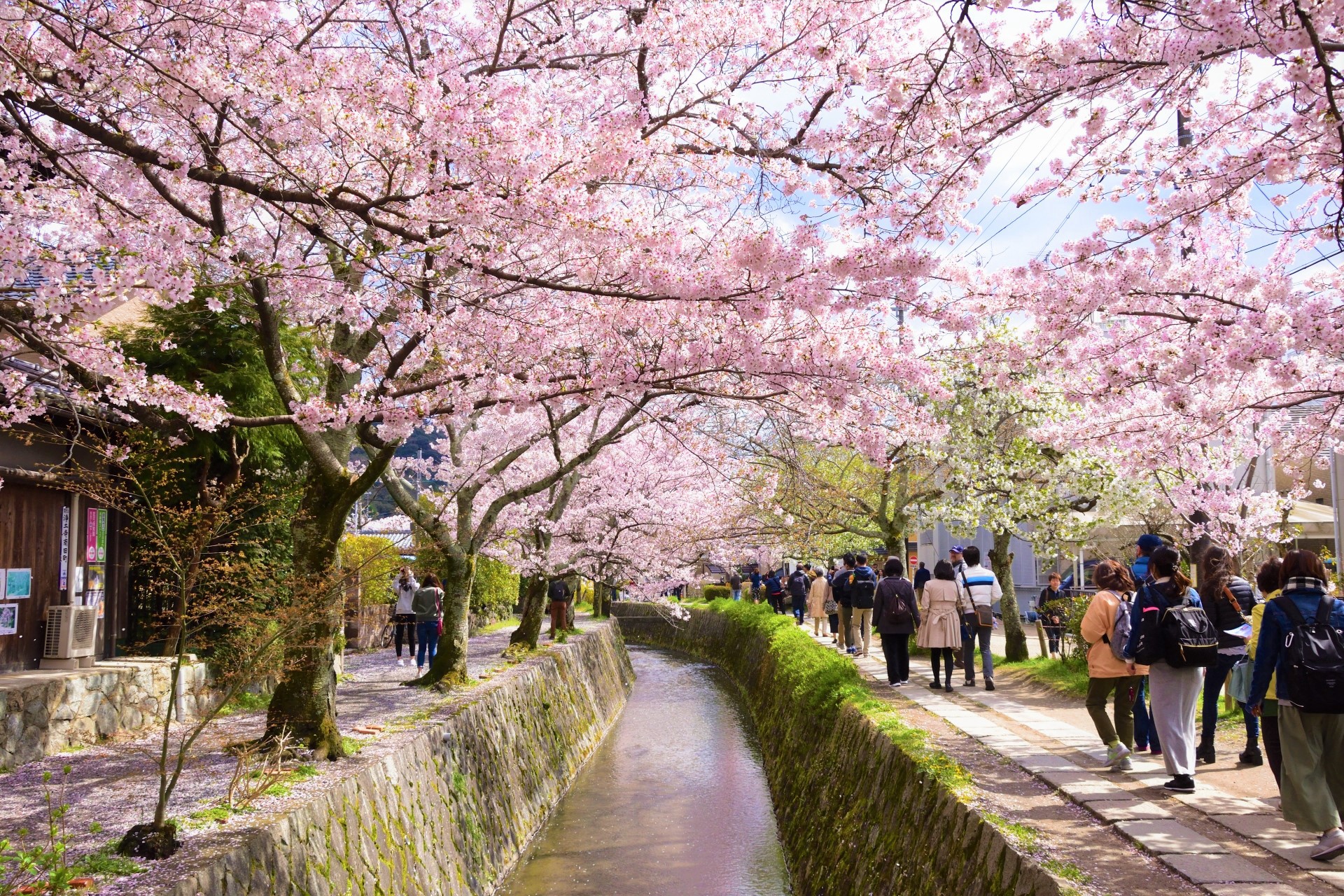 Lorong pejalan kaki Philosopher's Walk di Kyoto
