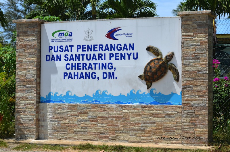 tempat menarik di cherating