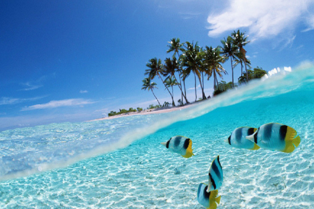 tempat menarik untuk honeymoon