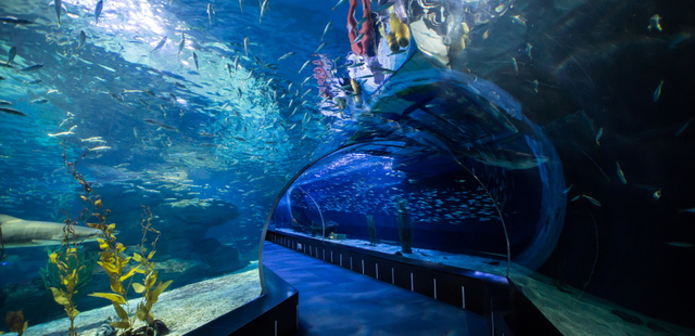 Akuarium Sea Life di Busan