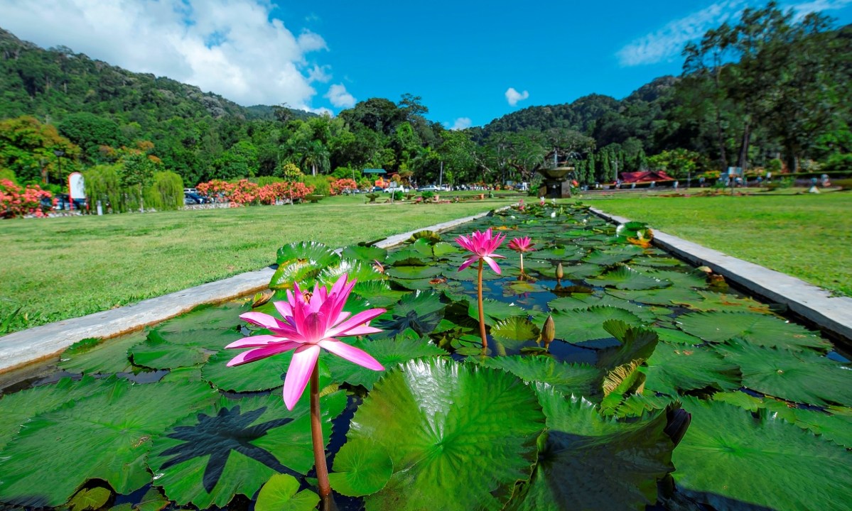 Taman Botani Penang