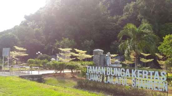 Bunga kertas berwarna-warni di taman Tuanku Lailatul Shahreen