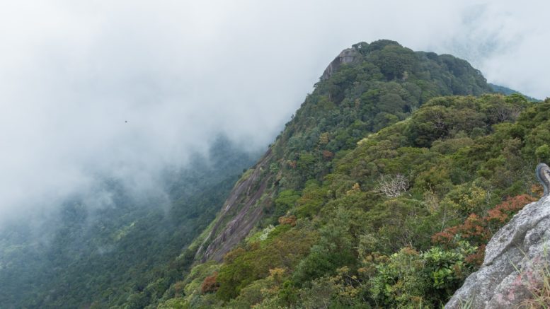 Taman Negara Gunung Ledang