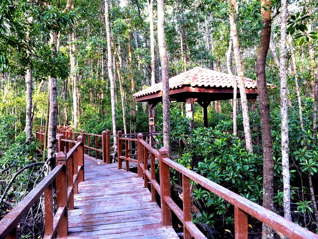 Taman Negara Tanjung Piai
