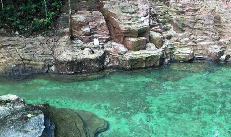 tempat makan penang Taman Rimba Teluk Bahang