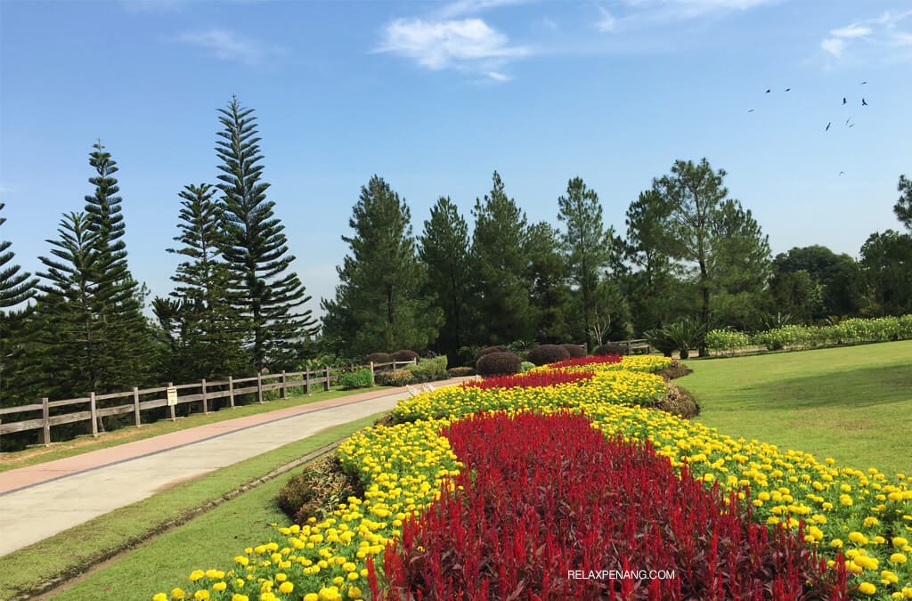 Laluan jogging di Taman Saujana Hijau