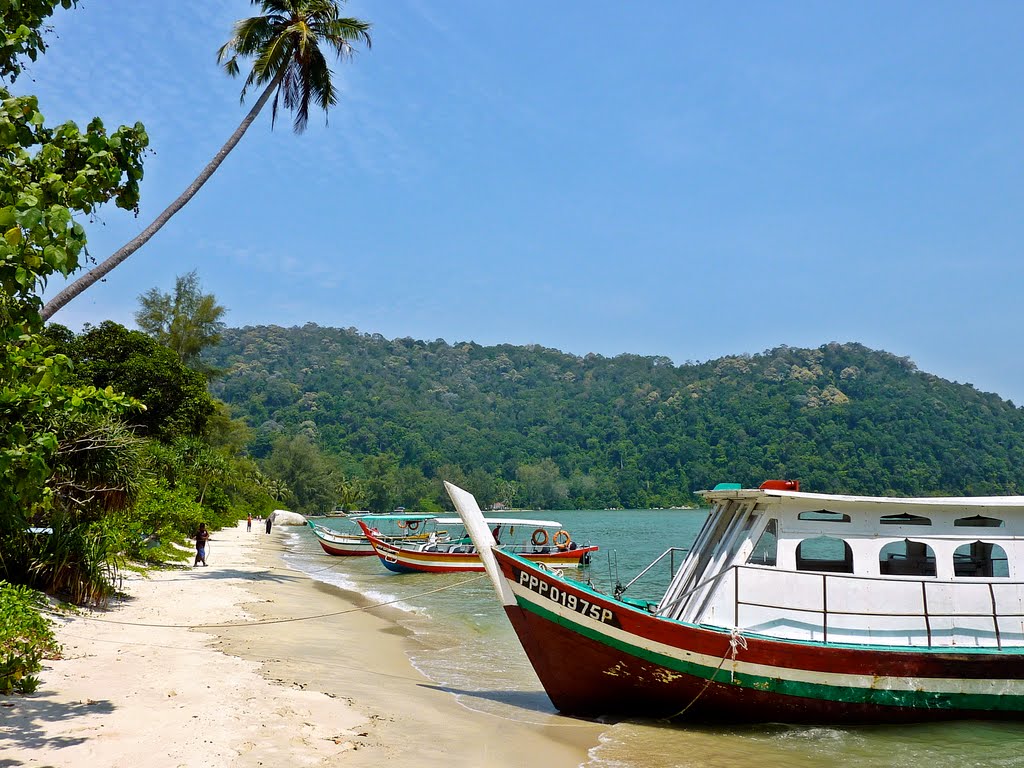 Teluk Duyung