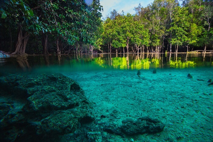 Hutan dan kolam air jernih di Thung Teao Forest Natural Park