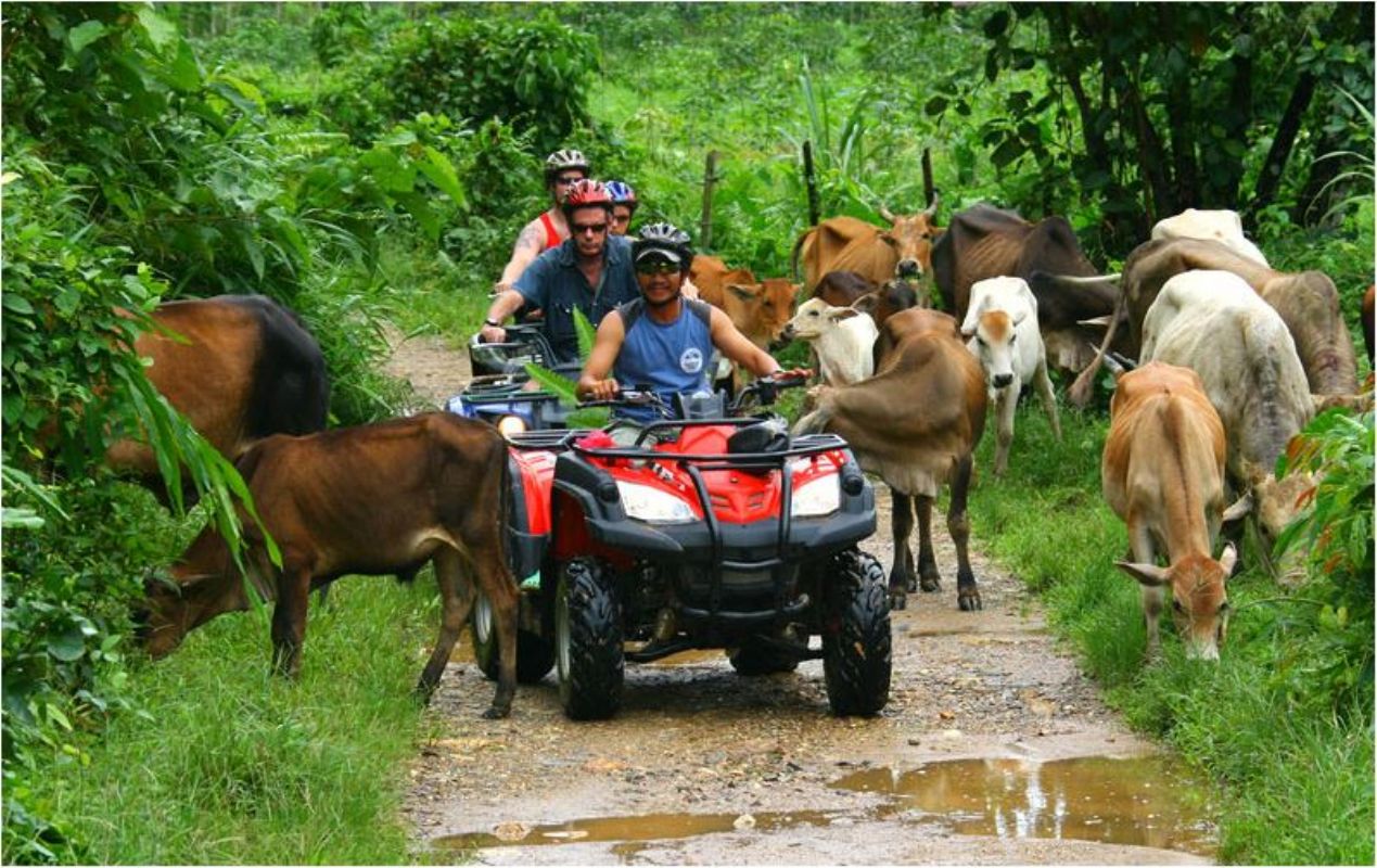 Hutan hijau di Ton Pariwat Wildlife Sanctuary