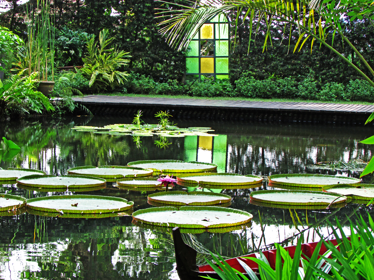 tempat makan penang Tropical Spice Garden