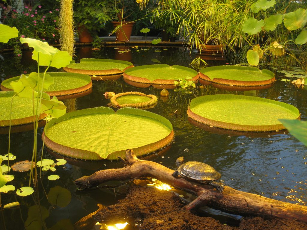 tempat menarik di melbourne
