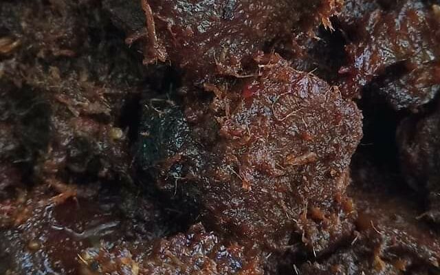Rendang Tok Perak kelihatan hitam pekat dan bersaiz
