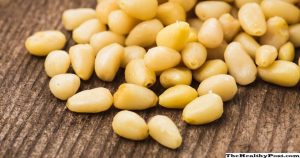 jenis kacang