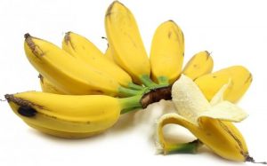 jenis pisang