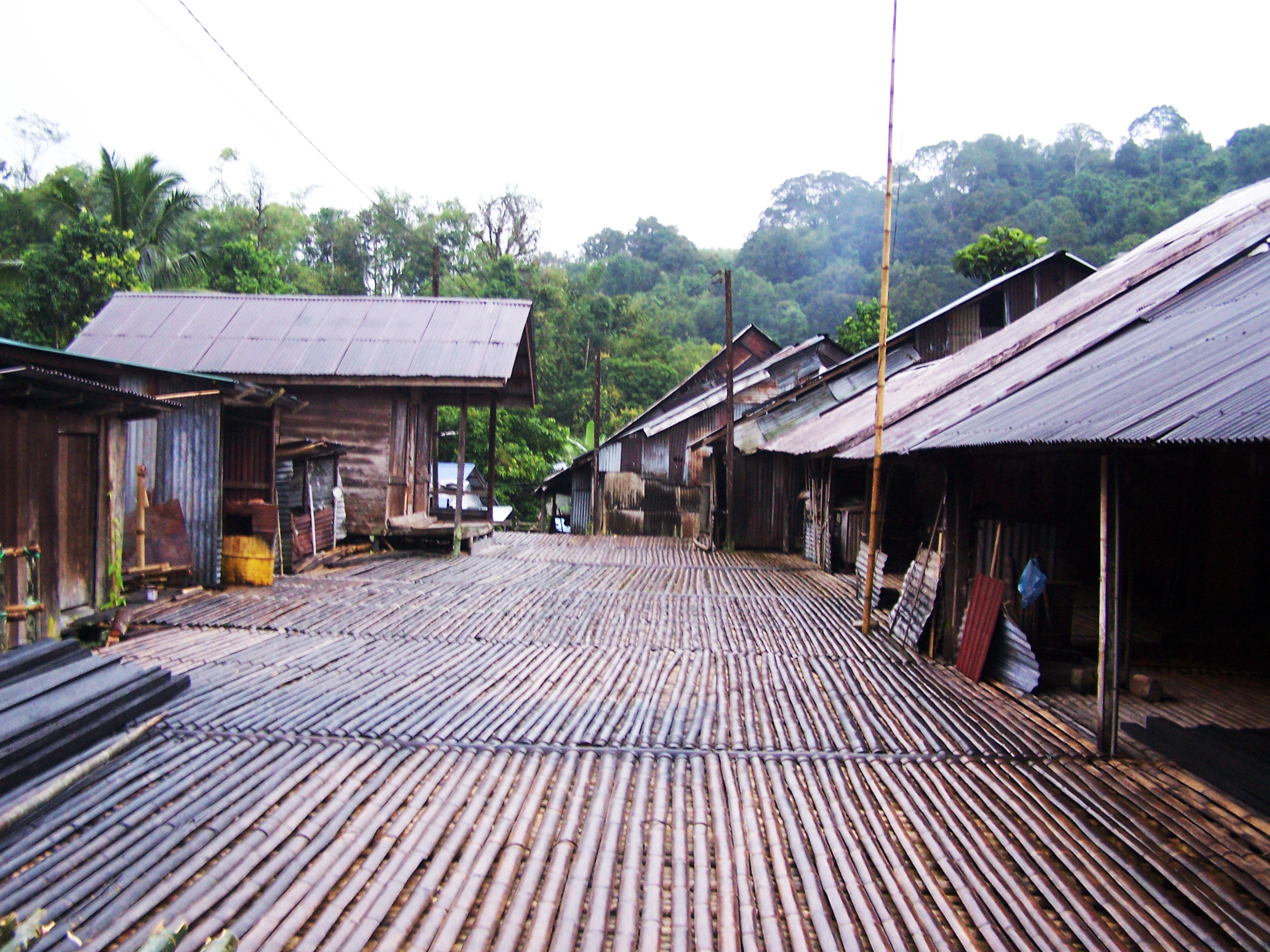 Kawasan perkampungan tradisional Kampung Annah Rais