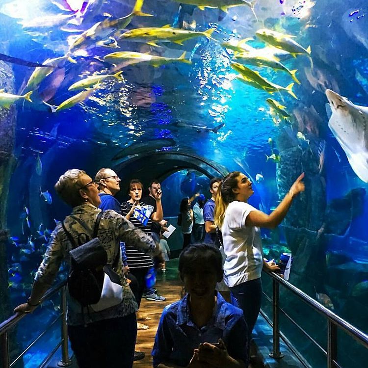 tempat menarik di melbourne