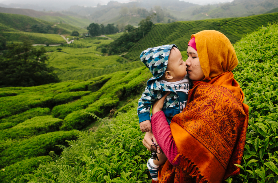 Ibu bapa membawa baby menggunakan baby carrier berjalan di kawasan sejuk Cameron Highlands