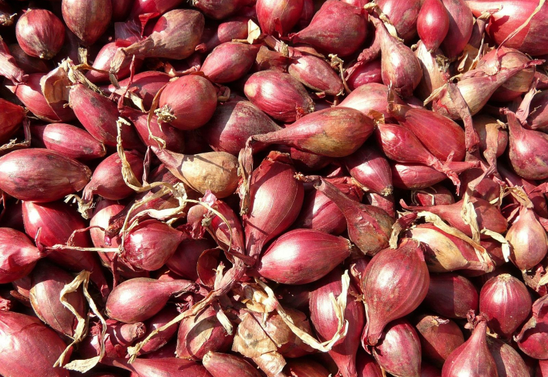 Bawang kecil yang telah dikupas dan dihiris halus untuk digoreng sehingga crispy.