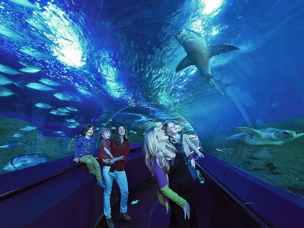 tempat menarik di perth