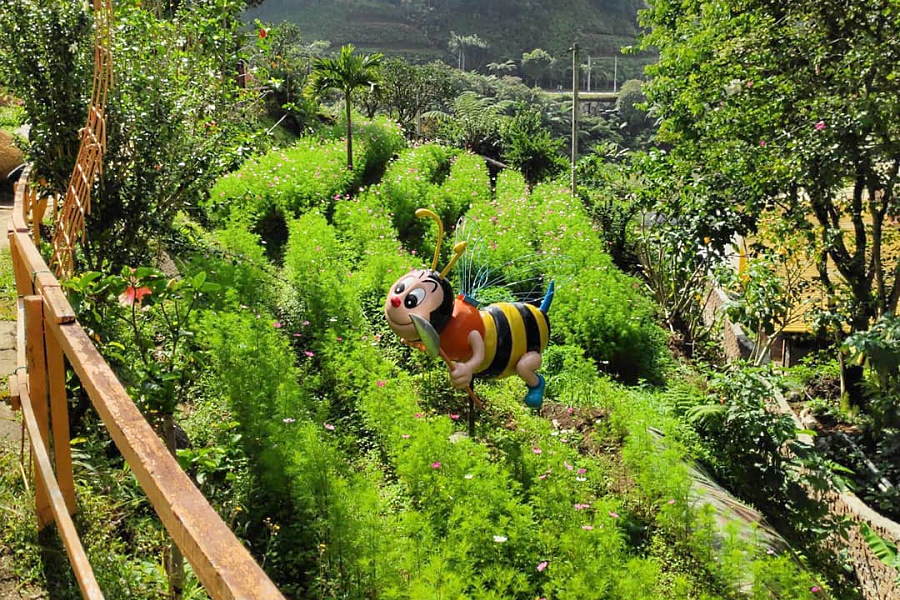 Kotak sarang lebah di Ladang Lebah Ee Feng Gu Cameron Highlands
