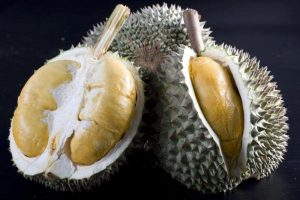 jenis durian