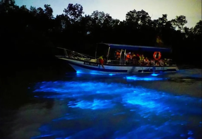 Fenomena Blue Tears di Kuala Selangor