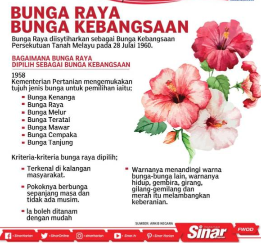 bunga raya malaysia