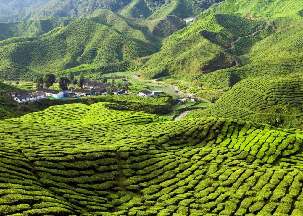 tempat menarik untuk honeymoon