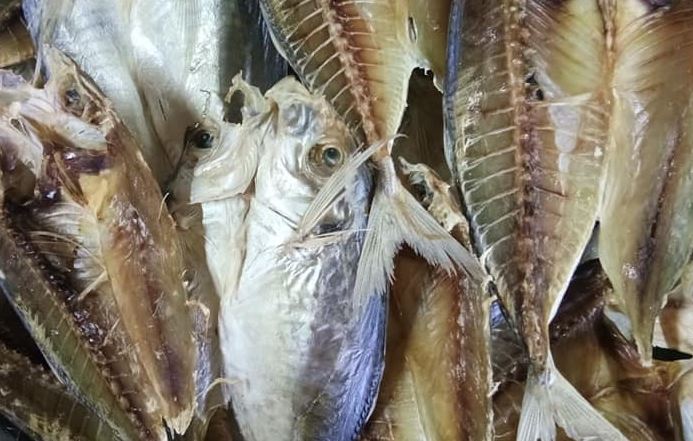 Pelbagai ikan kering homemade yang telah siap dijemur tersusun di atas dulang