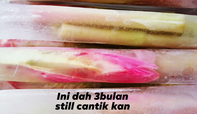 cara simpan bunga kantan