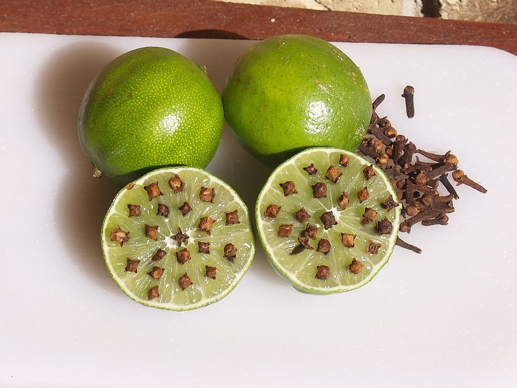diy perangkap nyamuk