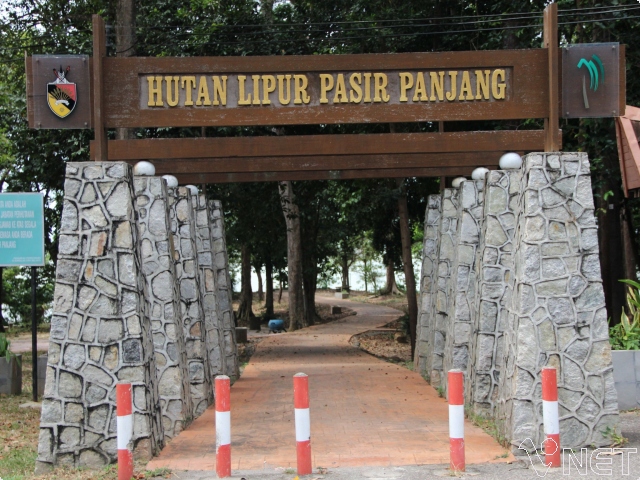 Pemandangan hutan di Hutan Lipur Pasir Panjang