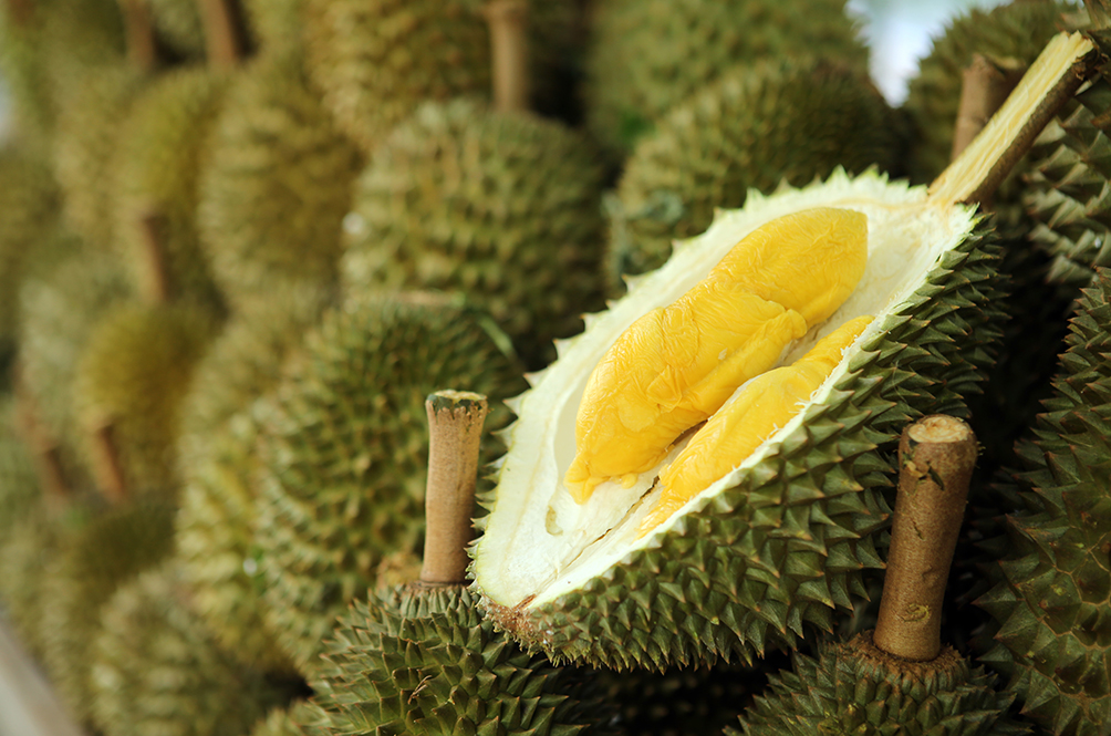makanan tambah susu