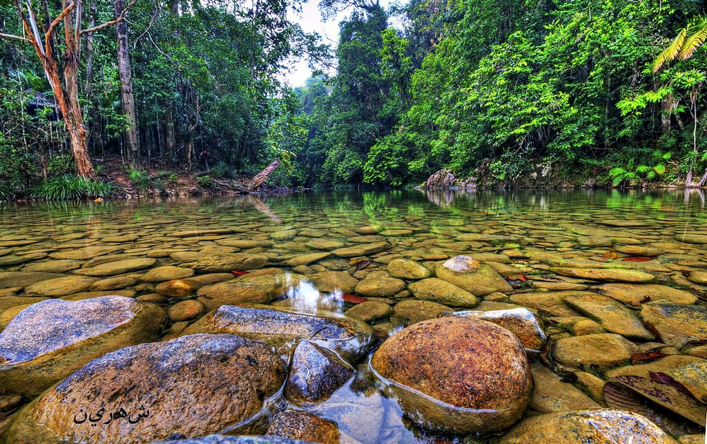 endau rompin