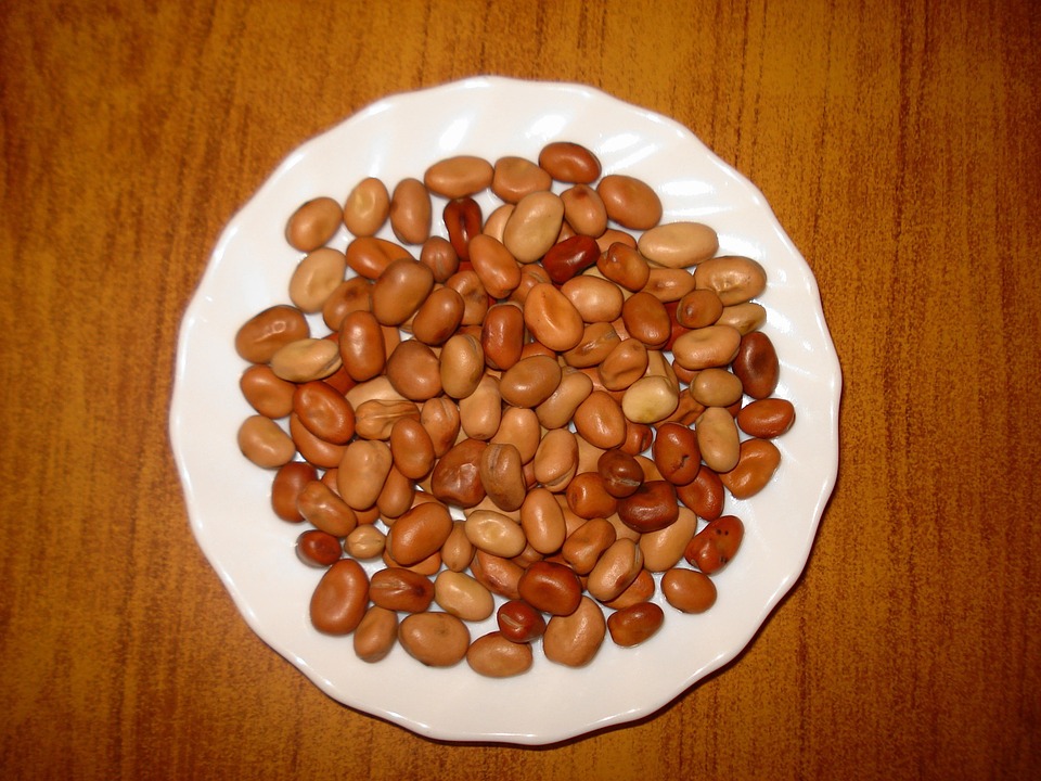 Sebijik kacang parang yang masih berada di dalam kulitnya berwarna hijau.