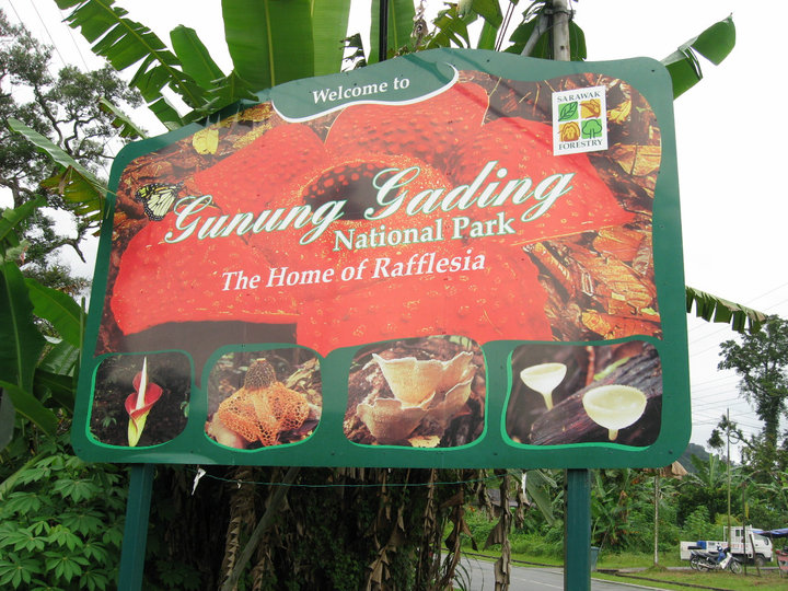 Pemandangan Taman Negara Gunung Gading