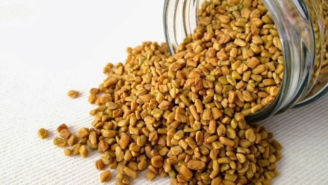 Bijirin halba kecil berwarna kuning keemasan diletakkan dalam bekas kayu.