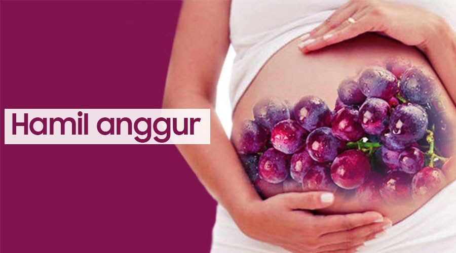 Imej berkaitan info kesihatan kehamilan anggur bagi wanita hamil