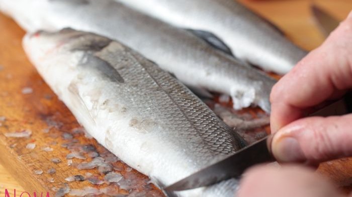 cara buat ikan pekasam