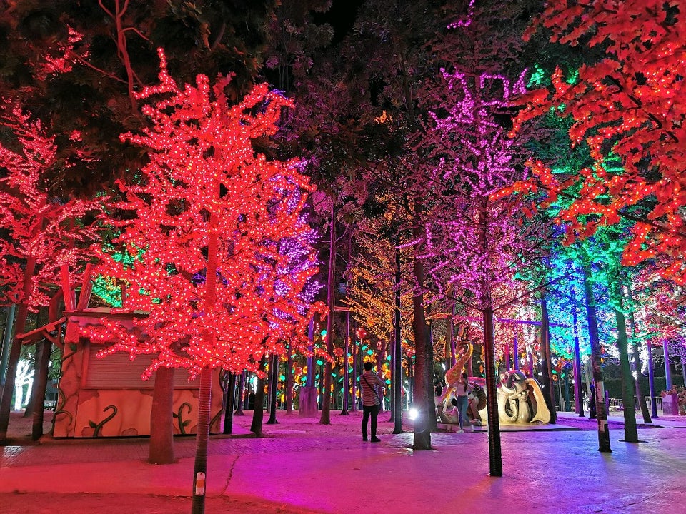 Pemandangan Taman Botani Shah Alam yang menghijau sebagai salah satu tempat menarik di Shah Alam.