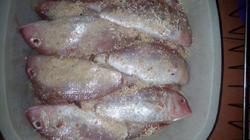 ikan kerisi
